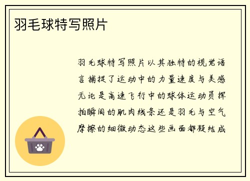 羽毛球特写照片